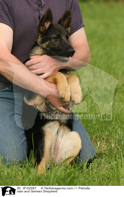 man and German Shepherd / IP-02287