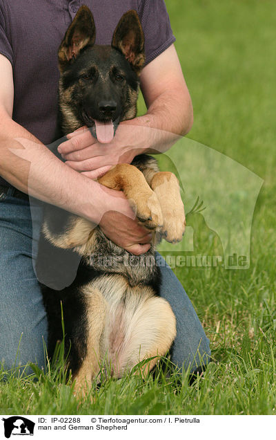 man and German Shepherd / IP-02288