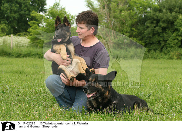 man and German Shepherds / IP-02289