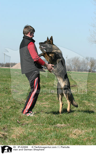 man and German Shepherd / IP-02666