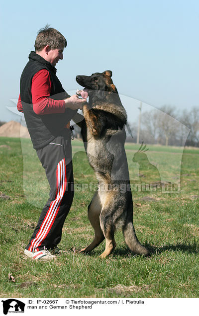 man and German Shepherd / IP-02667