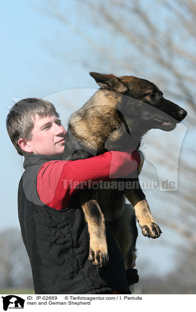 man and German Shepherd / IP-02669