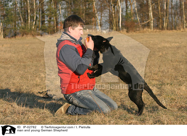 man and young German Shepherd / IP-02782