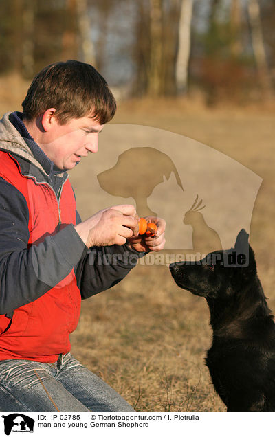 man and young German Shepherd / IP-02785