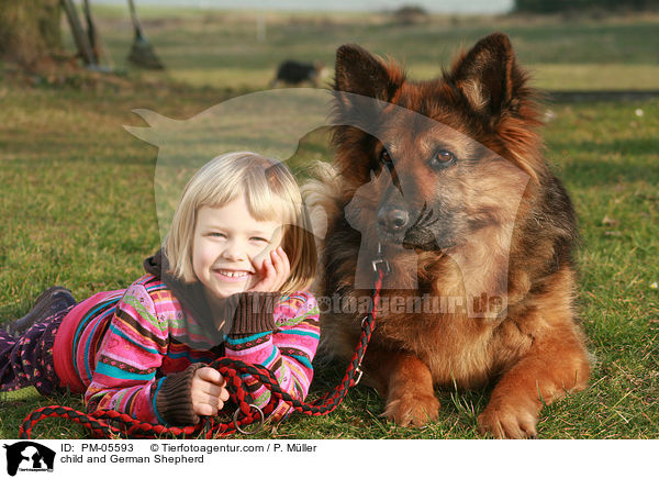 child and German Shepherd / PM-05593