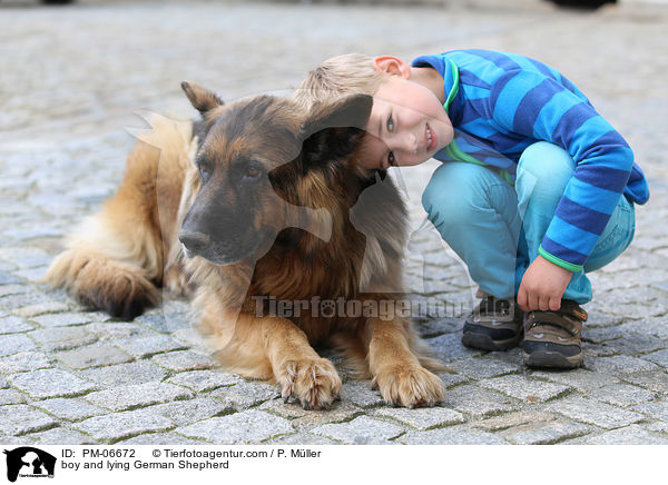 boy and lying German Shepherd / PM-06672