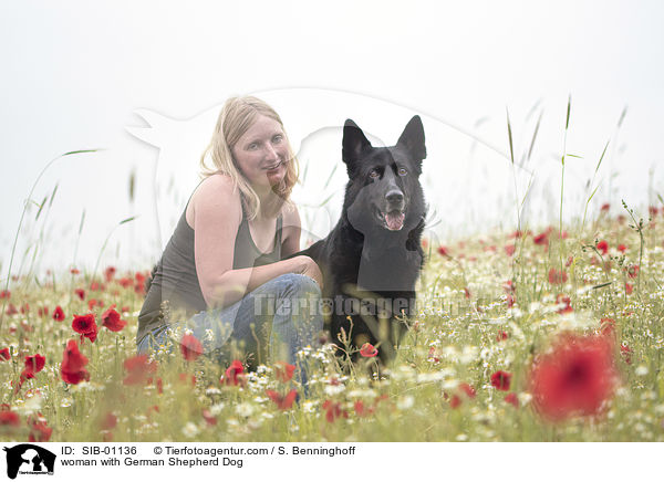 woman with German Shepherd Dog / SIB-01136