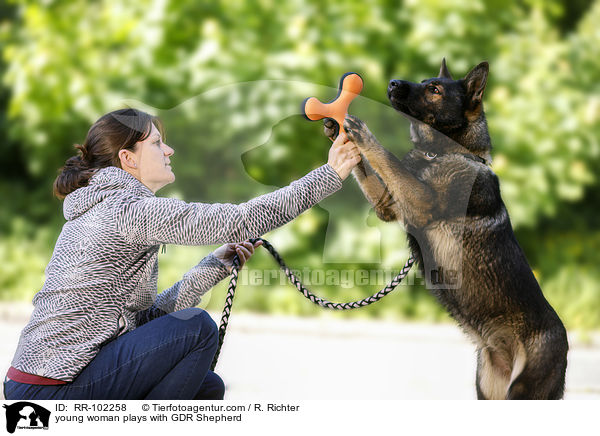 young woman plays with GDR Shepherd / RR-102258