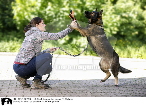 young woman plays with GDR Shepherd / RR-102259