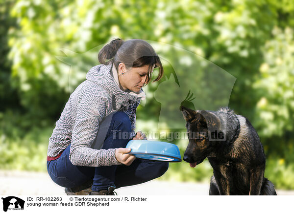 young woman feeds GDR Shepherd / RR-102263