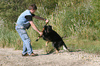 Man and dog