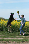 playing German Shepherd