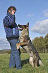 playing German Shepherd