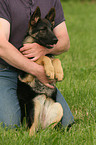 man and German Shepherd
