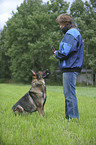sitting German Shepherd