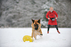 playing German Shepherd