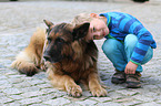 boy and lying German Shepherd