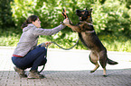 young woman plays with GDR Shepherd