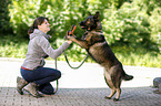 young woman plays with GDR Shepherd