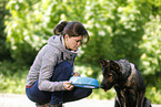 young woman feeds GDR Shepherd