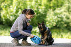 young woman feeds GDR Shepherd