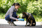 young woman feeds GDR Shepherd