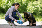 young woman feeds GDR Shepherd