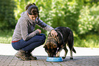 young woman feeds GDR Shepherd