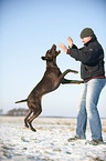 man and German shorthaired Pointer