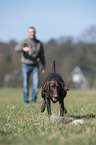 man and German shorthaired Pointer