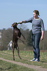 woman and German shorthaired Pointer