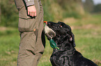 hunting training