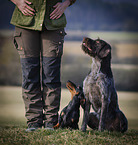 2 dogs
