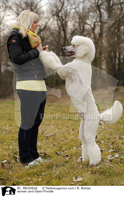 woman and Giant Poodle / RR-65626
