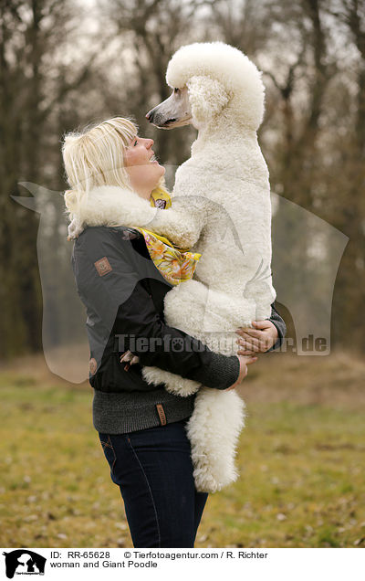 woman and Giant Poodle / RR-65628