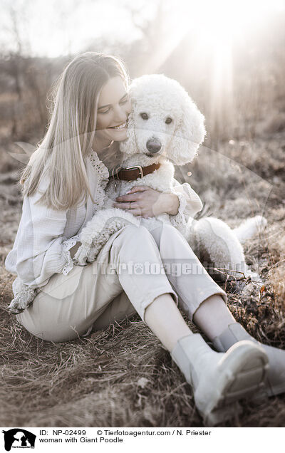 woman with Giant Poodle / NP-02499