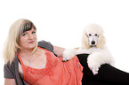 lying standard poodle