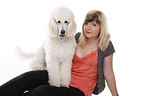 standing standard poodle