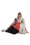 sitting standard poodle