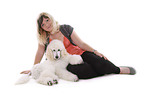 lying standard poodle