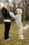 woman and Giant Poodle