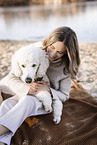 male Giant Poodle