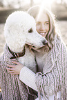 male Giant Poodle