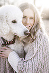 male Giant Poodle