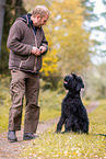 Giant Schnauzer