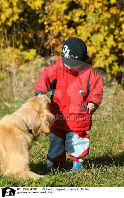 Golden Retriever und Kind / golden retriever and child / PM-04281