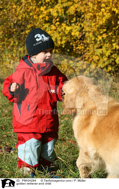 Golden Retriever und Kind / golden retriever and child / PM-04284