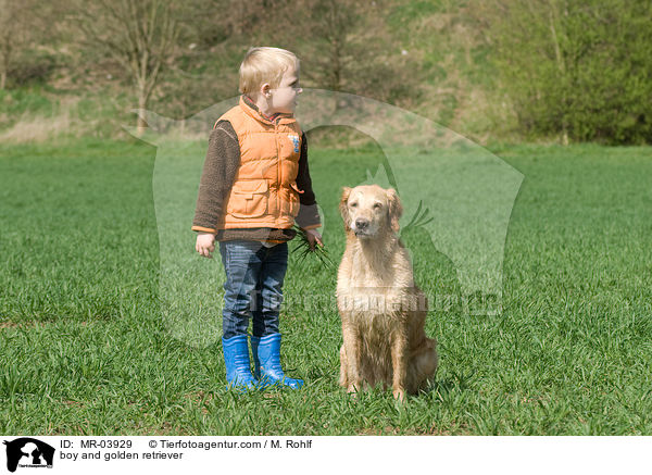 Junge und Golden Retriever / boy and golden retriever / MR-03929