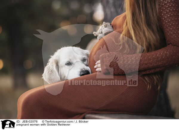 Schwangere mit Golden Retriever / pregnant woman with Golden Retriever / JEB-02076