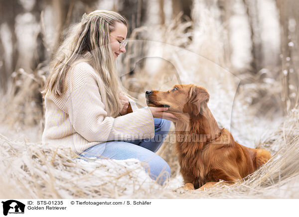 Golden Retriever / Golden Retriever / STS-01235